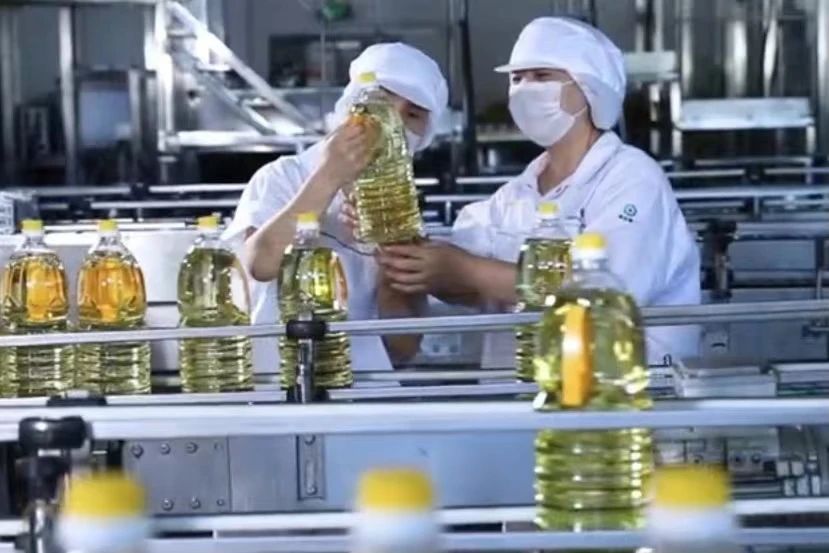 ������ʱ - �������ǲ�!