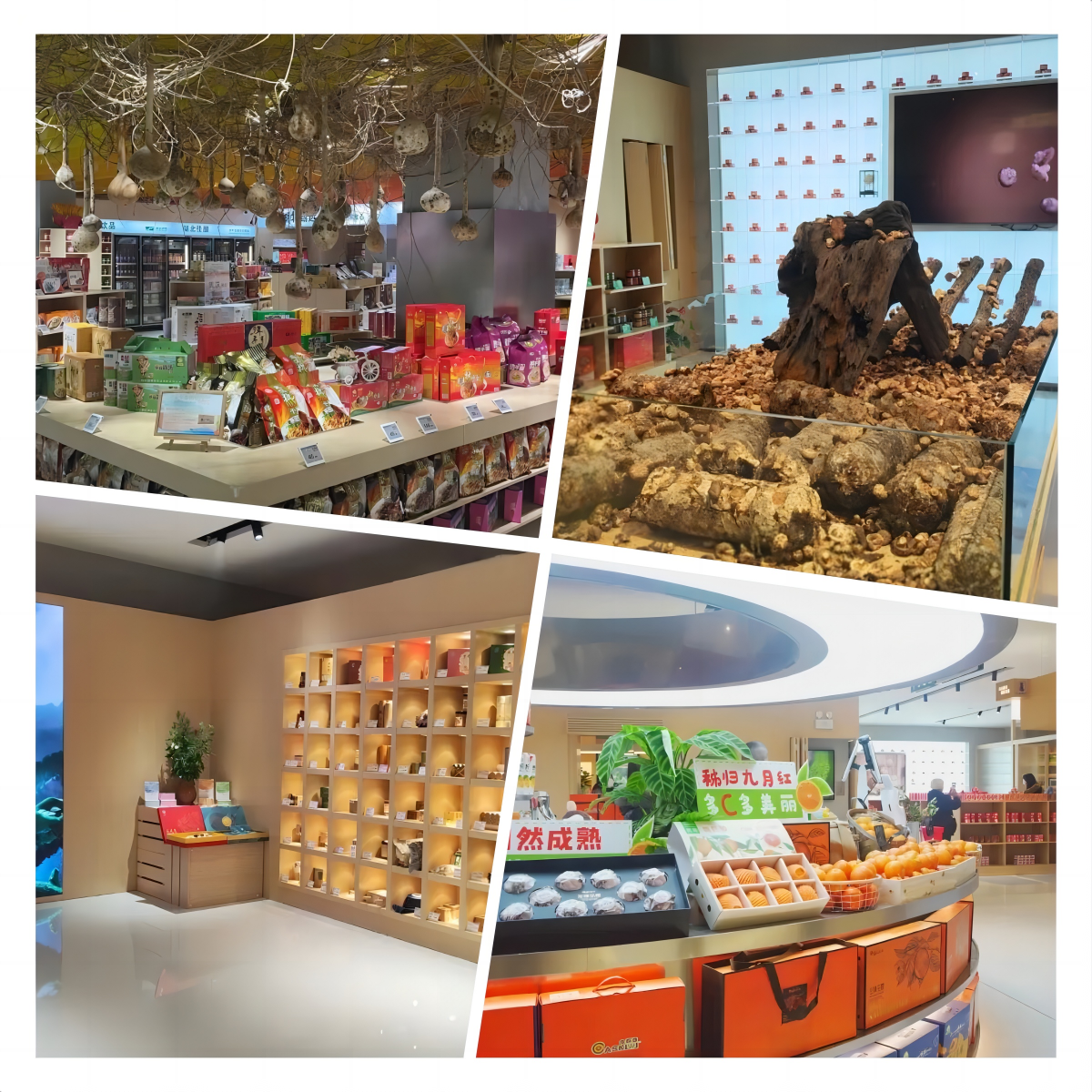 ������ʱ - �������ǲ�!