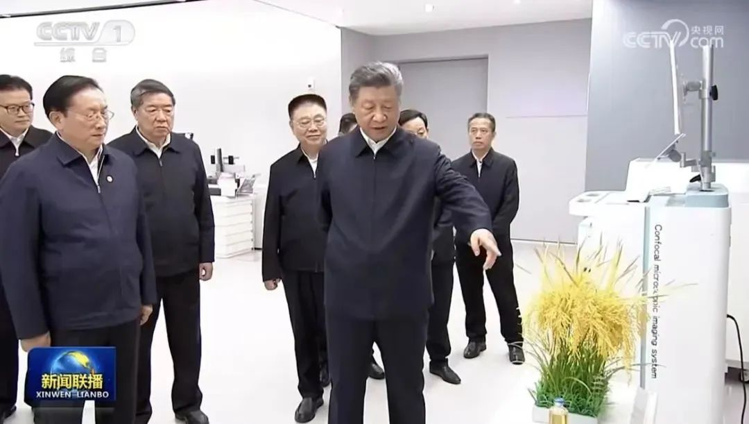 ������ʱ - �������ǲ�!