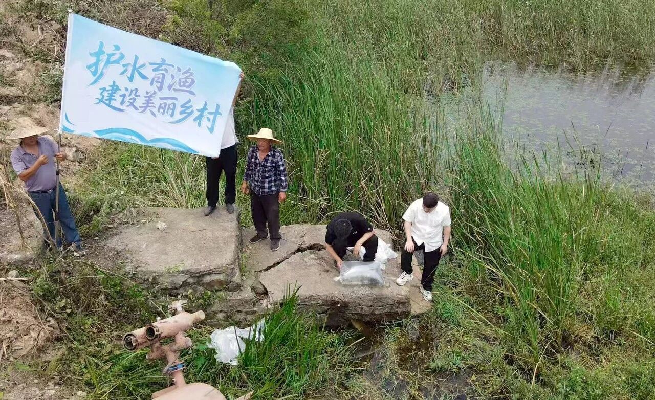 ece87706d88c55e1b6d9985772dfe339 尊龙凯时-人生就是搏!